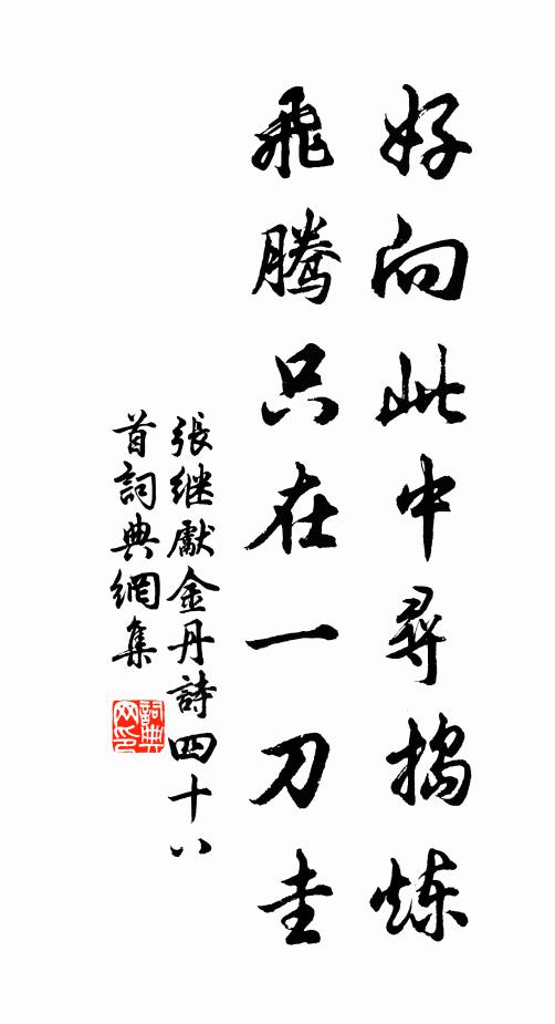 張繼先好向此中尋搗煉,飛騰只在一刀圭書法作品欣賞