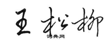 駱恆光王松柳行書個性簽名怎么寫