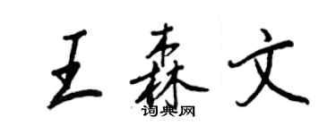 王正良王森文行書個性簽名怎么寫