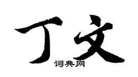 胡問遂丁文行書個性簽名怎么寫