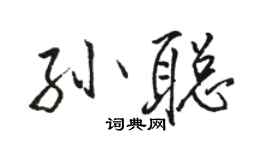 駱恆光孫聰行書個性簽名怎么寫