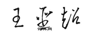 駱恆光王聖超草書個性簽名怎么寫