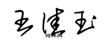朱錫榮王佳玉草書個性簽名怎么寫