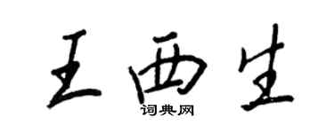 王正良王西生行書個性簽名怎么寫