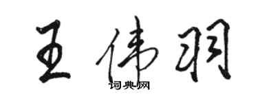 駱恆光王偉羽行書個性簽名怎么寫