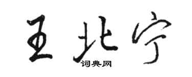 駱恆光王北寧行書個性簽名怎么寫