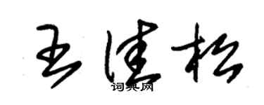 朱錫榮王佳松草書個性簽名怎么寫