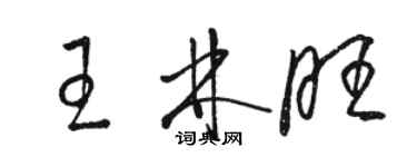 駱恆光王林旺草書個性簽名怎么寫