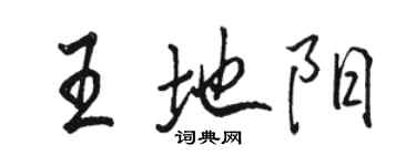 駱恆光王地陽行書個性簽名怎么寫