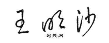 駱恆光王明沙草書個性簽名怎么寫