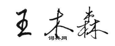 駱恆光王木森行書個性簽名怎么寫