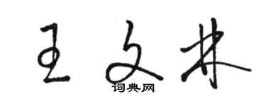 駱恆光王文林草書個性簽名怎么寫