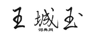 駱恆光王城玉行書個性簽名怎么寫
