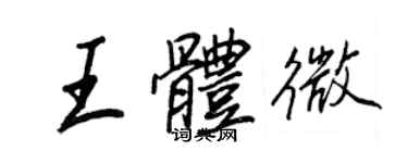 王正良王體微行書個性簽名怎么寫