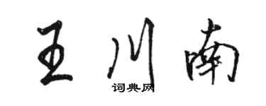 駱恆光王川南行書個性簽名怎么寫