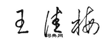 駱恆光王佳梅草書個性簽名怎么寫