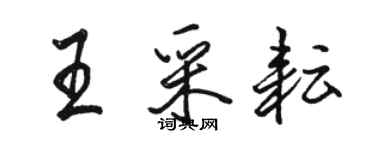 駱恆光王采耘行書個性簽名怎么寫