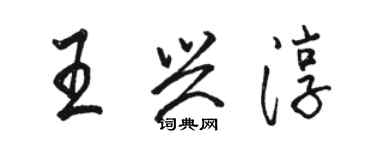 駱恆光王興淳行書個性簽名怎么寫