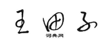 駱恆光王田子草書個性簽名怎么寫