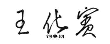 駱恆光王化賓草書個性簽名怎么寫