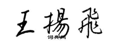 王正良王揚飛行書個性簽名怎么寫