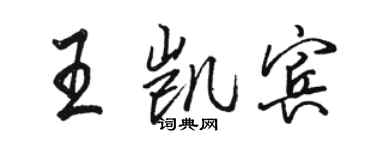 駱恆光王凱賓行書個性簽名怎么寫