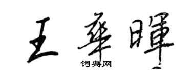 王正良王華暉行書個性簽名怎么寫