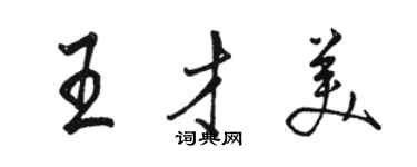 駱恆光王才美行書個性簽名怎么寫