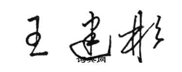 駱恆光王建彬草書個性簽名怎么寫