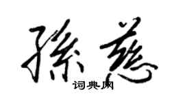 王正良孫慈行書個性簽名怎么寫