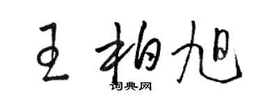 駱恆光王柏旭草書個性簽名怎么寫
