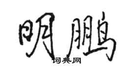 駱恆光明鵬行書個性簽名怎么寫