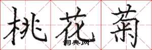 駱恆光桃花菊楷書怎么寫