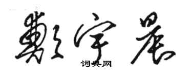 駱恆光鄭宇晨草書個性簽名怎么寫