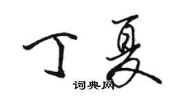 駱恆光丁夏行書個性簽名怎么寫