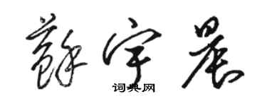 駱恆光蘇宇晨草書個性簽名怎么寫