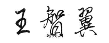 駱恆光王智翼行書個性簽名怎么寫