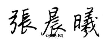 王正良張晨曦行書個性簽名怎么寫