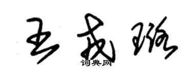 朱錫榮王戎璐草書個性簽名怎么寫
