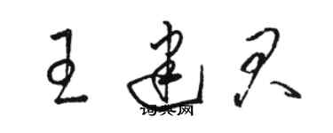 駱恆光王建君草書個性簽名怎么寫