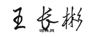 駱恆光王長彬行書個性簽名怎么寫