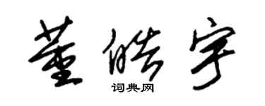 朱錫榮董皓宇草書個性簽名怎么寫