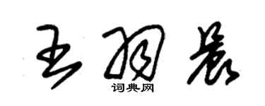 朱錫榮王羽晨草書個性簽名怎么寫