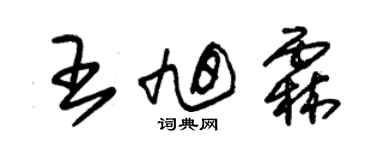 朱錫榮王旭霖草書個性簽名怎么寫