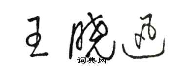 駱恆光王曉迅草書個性簽名怎么寫