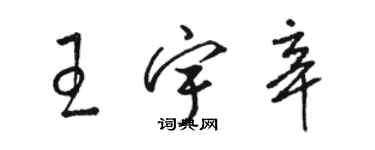 駱恆光王宇辛草書個性簽名怎么寫