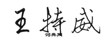 駱恆光王特威行書個性簽名怎么寫
