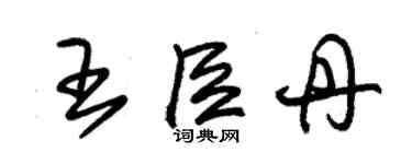 朱錫榮王臣丹草書個性簽名怎么寫