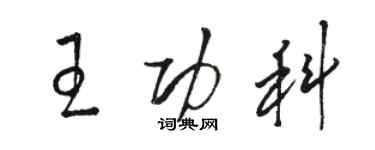 駱恆光王功科草書個性簽名怎么寫