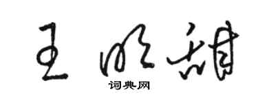 駱恆光王明甜草書個性簽名怎么寫